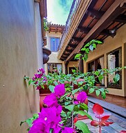 Central Bougainvillea