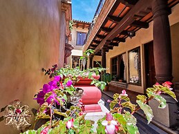 Central Bougainvillea