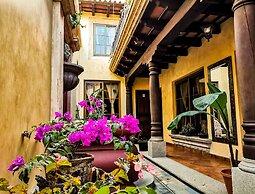 Central Bougainvillea