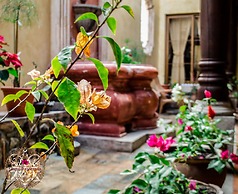 Central Bougainvillea