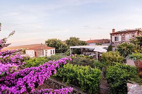 Begonvilla Evleri