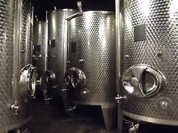 Weingut & Gästehaus Kaufmann-Schneider