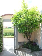 La convenienza