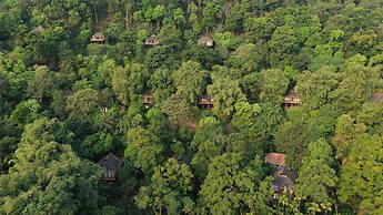 The Tamara Coorg