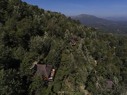 The Tamara Coorg