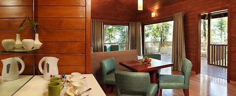 The Tamara Coorg
