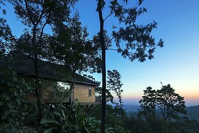 The Tamara Coorg