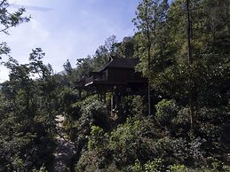 The Tamara Coorg