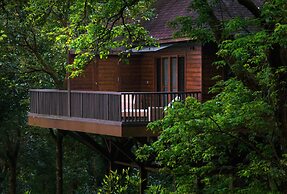 The Tamara Coorg