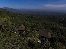 The Tamara Coorg