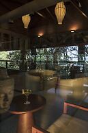 The Tamara Coorg