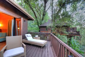 The Tamara Coorg