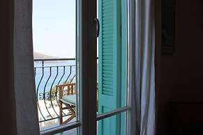 Blue Dolphin