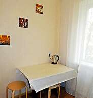 Hanaka Apartments on Zeleniy 93