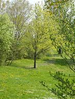 Hotel Good Rooms Guntramsdorf