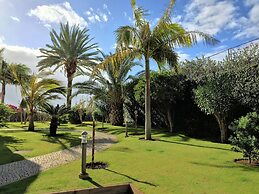 Superior Rentals in Madeira - Lido