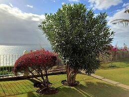 Superior Rentals in Madeira - Lido