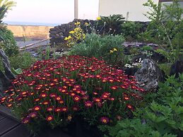 Sunday Jeju