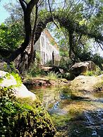 Le Moulin Camoula