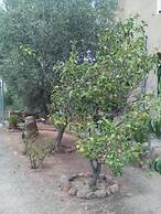 B&B Il Vigneto