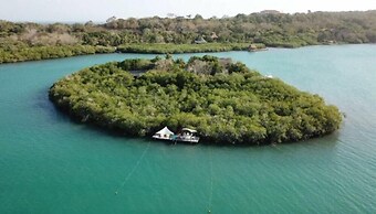 Isla Madre Selva