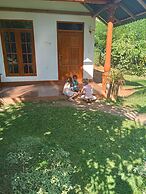Green View Safari Resort