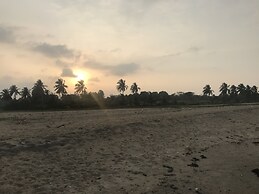 Reef Pasikudah