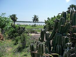 Reef Pasikudah