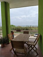 B&B Falcone