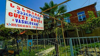 Guest House Vashlovani