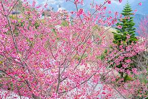 Yunnan Homestay