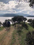 La Cerca Del Alcornoque