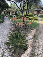 La Cerca Del Alcornoque