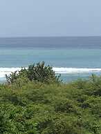 Scarlett Guesthouse Hotel Resorts
