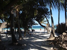 Coconut Beach Apartments
