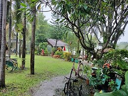 Baanmai Kon Muang