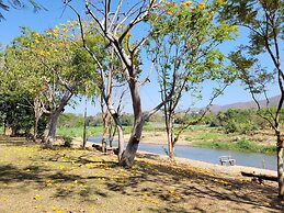 Baanmai Kon Muang