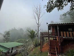 Forest Guesthouse