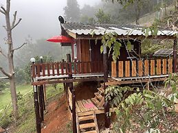 Forest Guesthouse