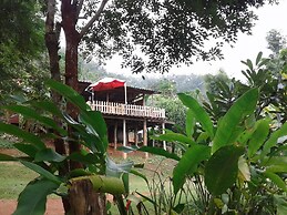 Forest Guesthouse
