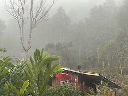 Forest Guesthouse