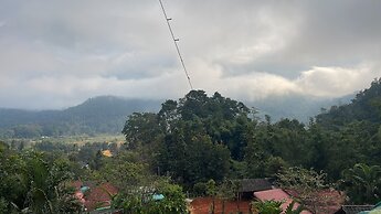 Forest Guesthouse
