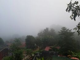 Forest Guesthouse