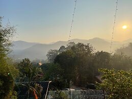 Forest Guesthouse