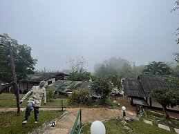 Forest Guesthouse