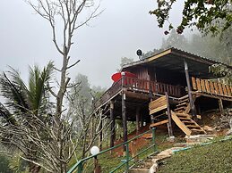 Forest Guesthouse