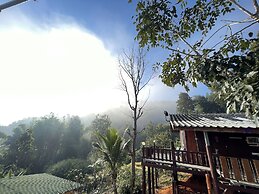 Forest Guesthouse