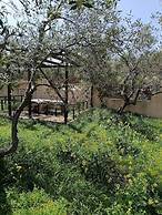 Foivos and Athina Villas