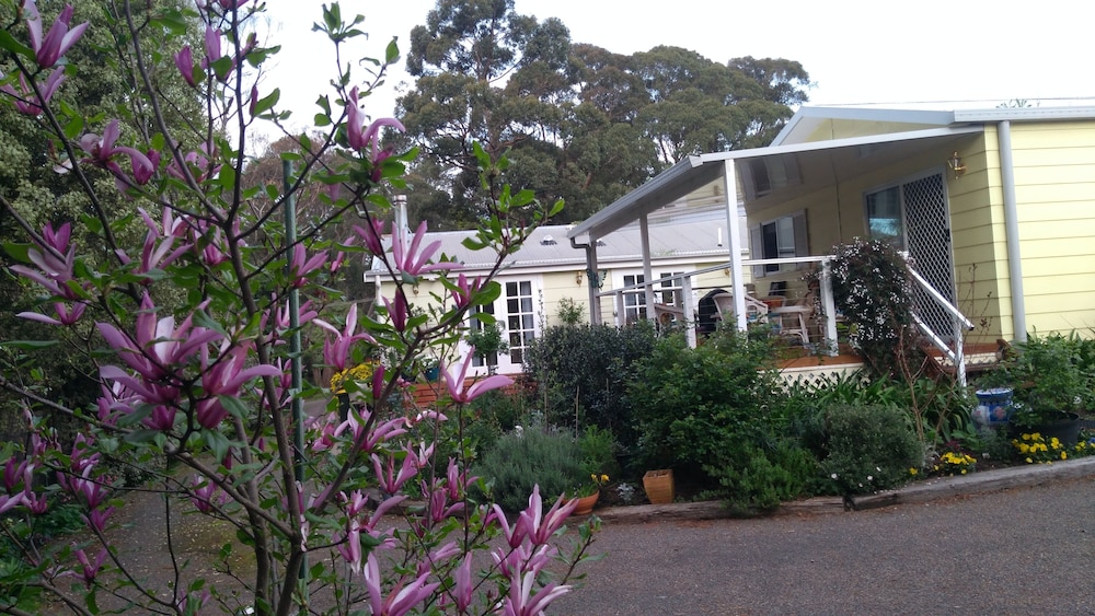 The Best Exotic Magnolia Cottage
