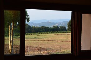 Fattoria Lucciano